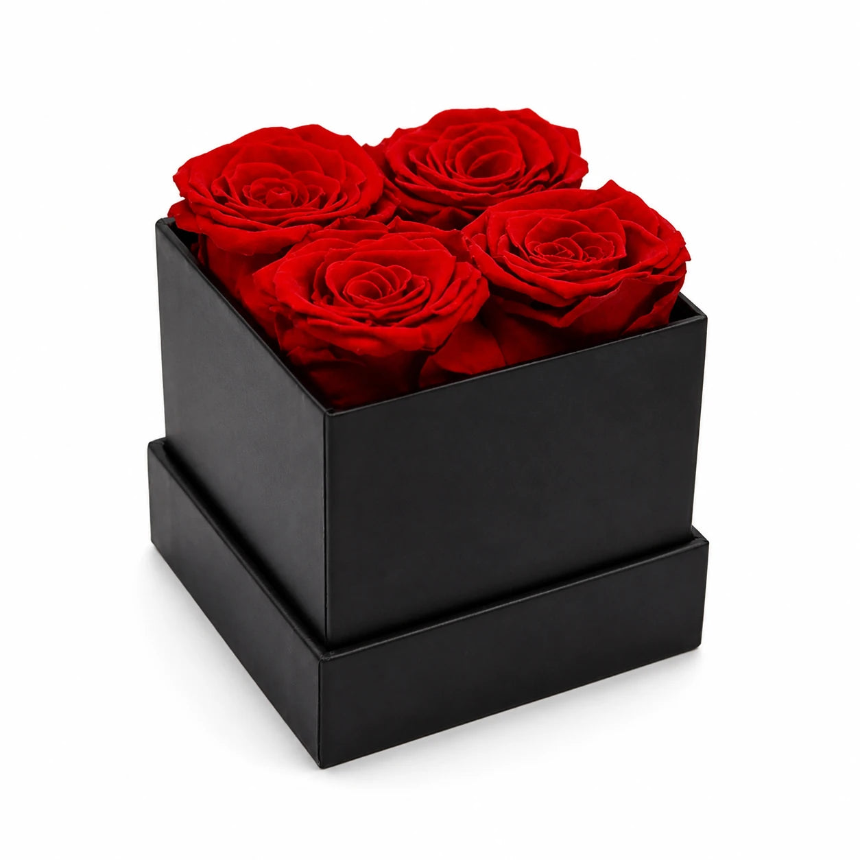 Schwarze quadratische Geschenkbox mit vier roten konservierten Rosen